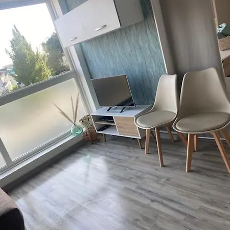 Apartament Mignon Au Coeur De *